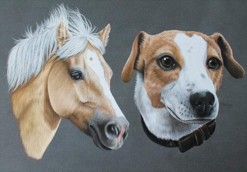 PASTEL portrait animalier 24x30cm