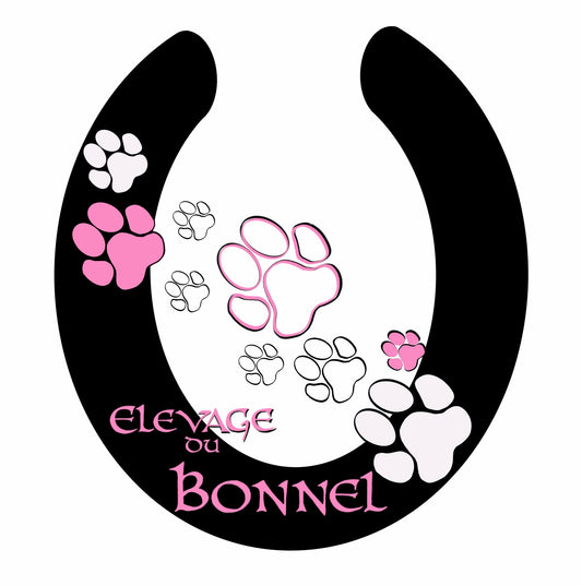 Création de logo animalier